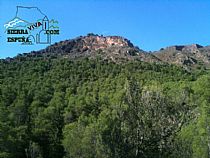 SENDA CUEVA NEGRA (SIERRA ESPUÑA) - Foto 2