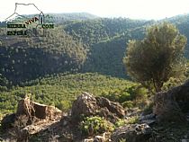 SENDA CUEVA NEGRA (SIERRA ESPUÑA) - Foto 4