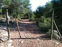 SENDA CUEVA NEGRA (SIERRA ESPUÑA) - Foto 7