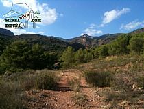 SENDA CUEVA NEGRA (SIERRA ESPUÑA) - Foto 10