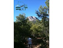 SENDA LAS ALQUERIAS - LA CARRASCA ( SIERRA ESPUÑA) - Foto 3