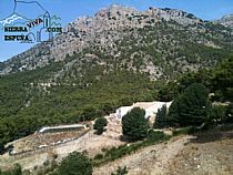 SENDA LAS ALQUERIAS - LA CARRASCA ( SIERRA ESPUÑA) - Foto 6