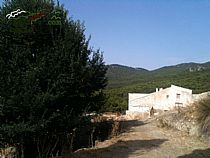 SENDA LAS ALQUERIAS - LA CARRASCA ( SIERRA ESPUÑA) - Foto 8