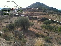 SENDA EL PURGATORIO-LA CARRASCA (SIERRA ESPUÑA) - Foto 1