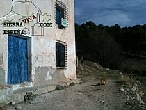 SENDA EL PURGATORIO-LA CARRASCA (SIERRA ESPUÑA) - Foto 7