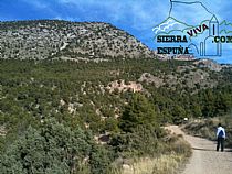 SENDA EL PURGATORIO-LA CARRASCA (SIERRA ESPUÑA) - Foto 13