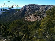 LAS TANGANERAS-TORREÓN DE LOS EXPLORADORES ( SIERRA ESPUÑA - Foto 2