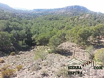 senda Totana Casa Forestal Morti Los Pistacheros - Foto 7