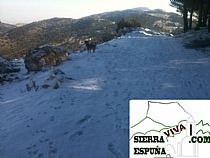 NIEVE A PRINCIPIOS DE FEBRERO EN SIERRA ESPUÑA - Foto 3