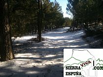 NIEVE A PRINCIPIOS DE FEBRERO EN SIERRA ESPUÑA - Foto 5