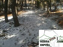 NIEVE A PRINCIPIOS DE FEBRERO EN SIERRA ESPUÑA - Foto 6