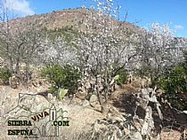 senda los algarrobos morrón redondo en Sierra Espuña - Foto 2