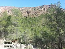 senda los algarrobos morrón redondo en Sierra Espuña - Foto 3