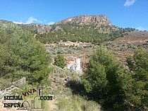 senda los algarrobos morrón redondo en Sierra Espuña - Foto 6