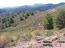 senda los algarrobos morrón redondo en Sierra Espuña - Foto 10