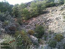 Senda barranco de cuevas altas-barranco del amargillo (Sierra Espuña)