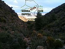 Senda barranco de cuevas altas-barranco del amargillo (Sierra Espuña) - Foto 3