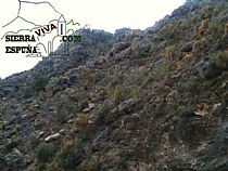 Senda barranco de cuevas altas-barranco del amargillo (Sierra Espuña) - Foto 4