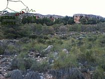 Senda barranco de cuevas altas-barranco del amargillo (Sierra Espuña) - Foto 9