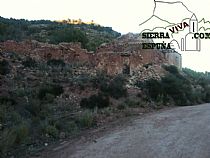Senda barranco de cuevas altas-barranco del amargillo (Sierra Espuña) - Foto 11