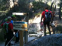 Senda I INTEGRAL DE LOS BARES DE SIERRA ESPUÑA ( 1º DÍA) - Foto 5