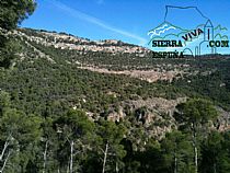 Senda I INTEGRAL DE LOS BARES DE SIERRA ESPUÑA ( 1º DÍA) - Foto 27