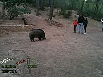 Senda I INTEGRAL DE LOS BARES DE SIERRA ESPUÑA ( 1º DÍA) - Foto 30