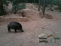 Senda I INTEGRAL DE LOS BARES DE SIERRA ESPUÑA ( 1º DÍA) - Foto 32