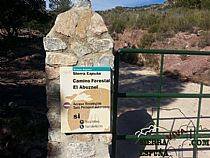 Senda Totana, camino El Abuznel, camino Campix en Sierra Espuña - Foto 2