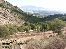 Senda Totana, camino El Abuznel, camino Campix en Sierra Espuña - Foto 5