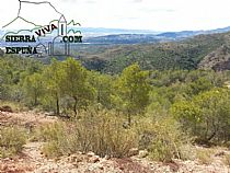 Senda Totana, camino El Abuznel, camino Campix en Sierra Espuña - Foto 9
