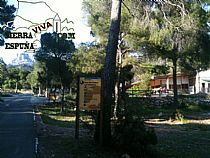 Senda pequeña ruta botánica por el caño de las Alquerías (Sierra Espuña ) - Foto 1