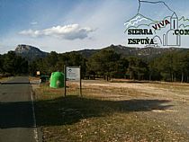 Senda pequeña ruta botánica por el caño de las Alquerías (Sierra Espuña ) - Foto 10
