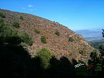 Senderismo con trepadas y monte a traves Canal Del Morrón Redondo (Sierra Espuña) - Foto 12