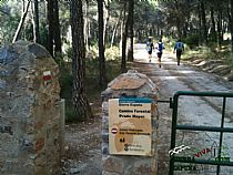 Senderismo con trepadas y monte a través, cuerda de las Paredes de Leiva ( Sierra Espuña) - Foto 6