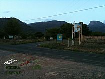 Senda las Alquerias Totana (Sierra Espuña) - Foto 8