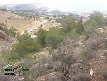 Senda de bici de montaña Totana mil curvas (Sierra Espuña) - Foto 1