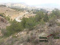 Senda de bici de montaña Totana mil curvas (Sierra Espuña) - Foto 3