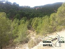 Senda de bici de montaña Totana mil curvas (Sierra Espuña) - Foto 5