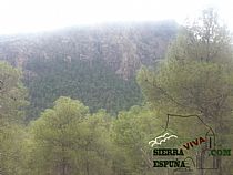 Senda de bici de montaña Totana mil curvas (Sierra Espuña) - Foto 6
