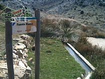Senda ruta Jurásica en Sierra Espuña - Foto 16