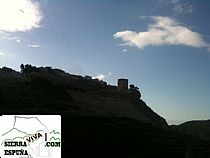 II Marcha Senderista contra el cáncer Aledo Sierra Espuña - Foto 8