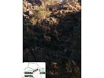 Senda barranco de campix-paredes negras (Sierra Espuña) - Foto 10