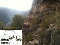 Senda de la boquera-arco del peñon blanco en Sierra Espuña - Foto 3
