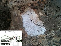 Senda de la boquera-arco del peñon blanco en Sierra Espuña - Foto 7