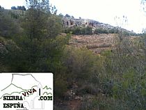 Senda de la boquera-arco del peñon blanco en Sierra Espuña - Foto 9