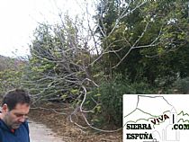 Senda Arco de Aledo-Casa del Peñón-Arco de Aledo (Sierra Espuña) - Foto 2