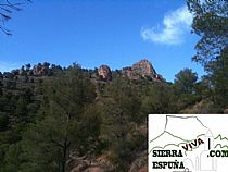 Senda Arco de Aledo-Casa del Peñón-Arco de Aledo (Sierra Espuña) - Foto 3