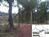 Senda Arco de Aledo-Casa del Peñón-Arco de Aledo (Sierra Espuña) - Foto 8