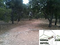 Senda Arco de Aledo-Casa del Peñón-Arco de Aledo (Sierra Espuña) - Foto 13